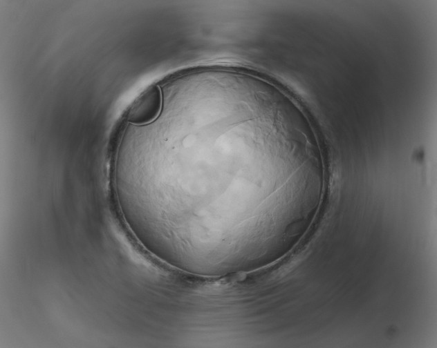 X0000116461414200912231351