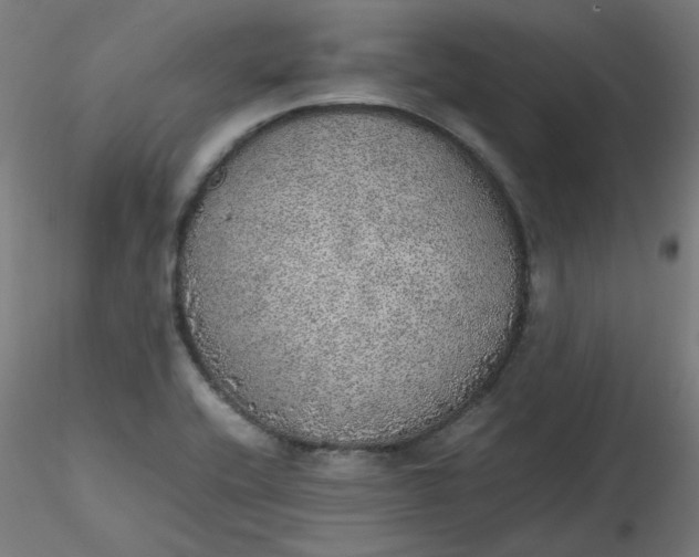 X0000116461416200912231351