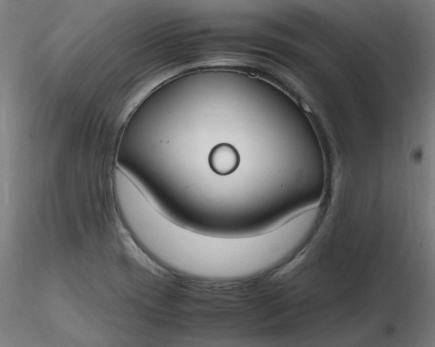 X0000116461417200912231351