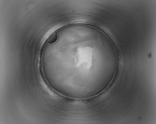 X0000116461418200912231351
