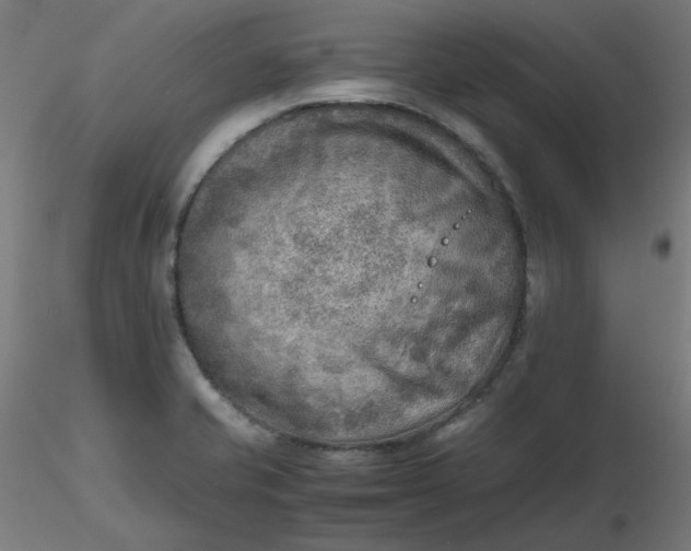 X0000116461421200912231351