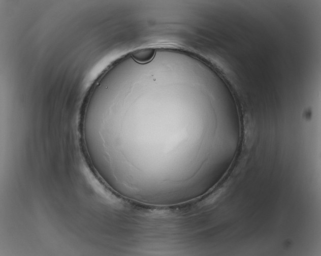 X0000116461422200912231351