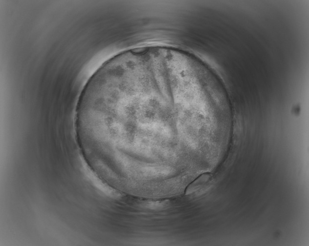 X0000116461423200912231351