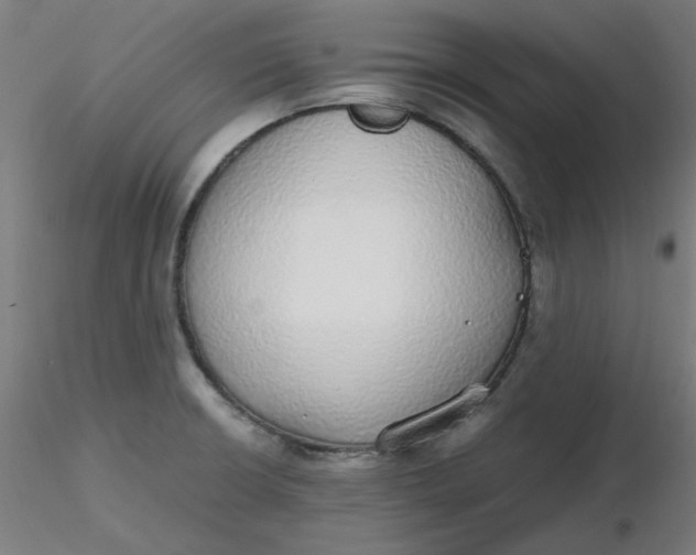 X0000116461426200912231351
