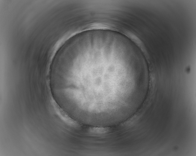 X0000116461427200912231351