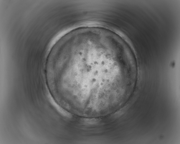 X0000116461429200912231351