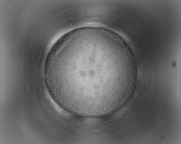 X0000116461430200912231351