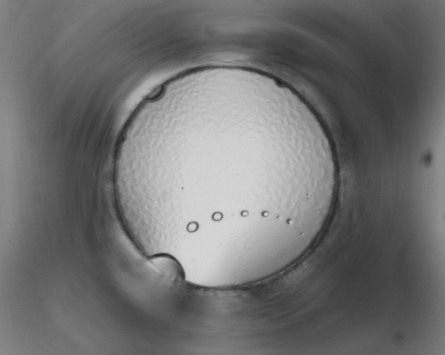 X0000116461432200912231351