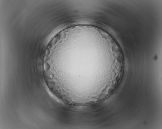 X0000116461433200912231351