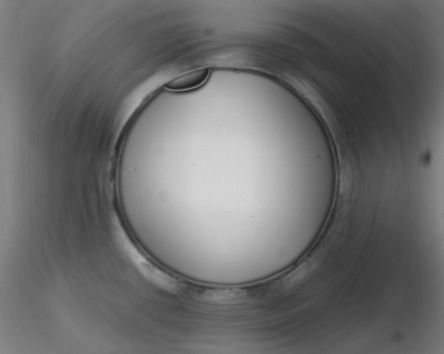 X0000116461434200912231351