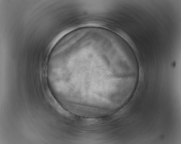 X0000116461436200912231351