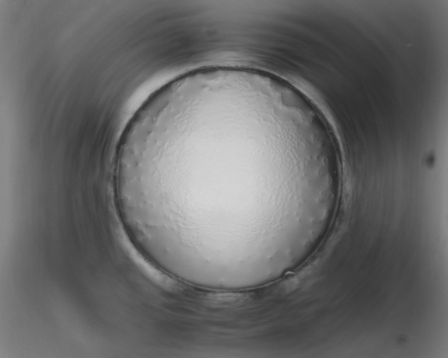 X0000116461437200912231351