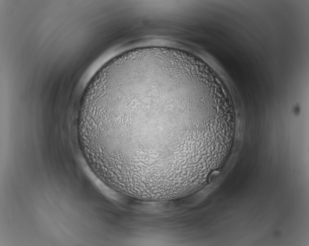 X0000116461438200912231351