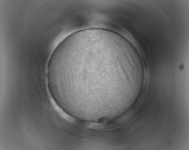 X0000116461439200912231352
