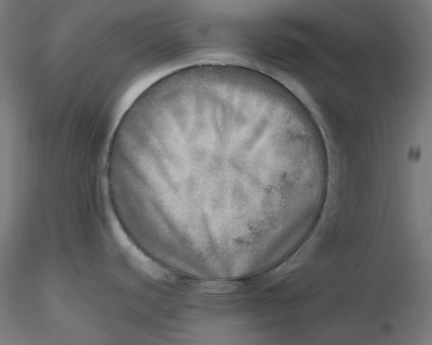 X0000116461440200912231352