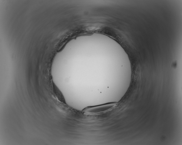 X0000116461441200912231351