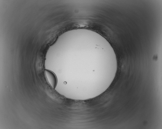 X0000116461442200912231351
