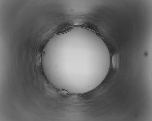 X0000116461443200912231351