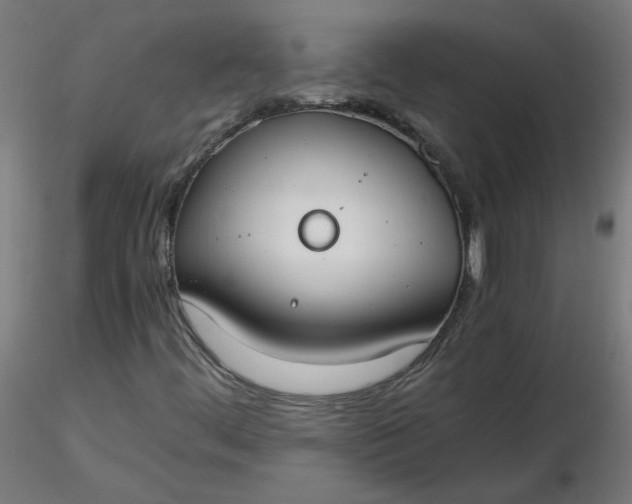 X0000116461444200912231351