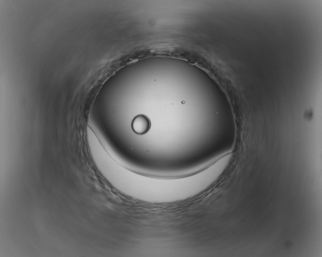 X0000116461445200912231351