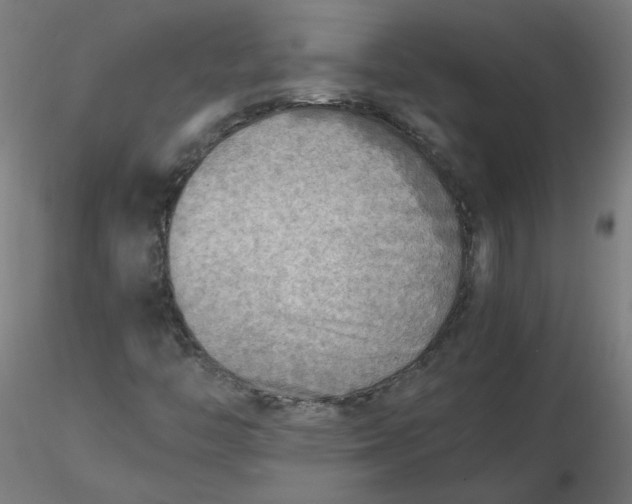 X0000116461446200912231351