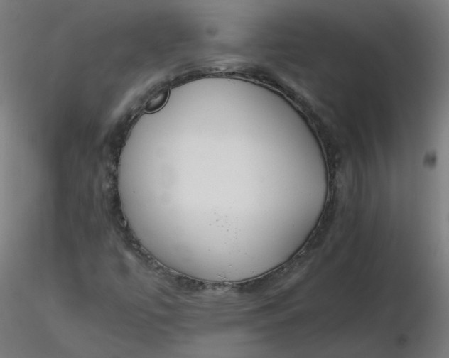 X0000116461447200912231351