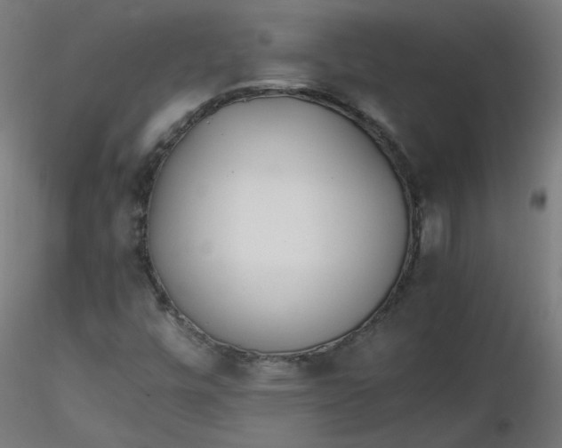 X0000116461448200912231351