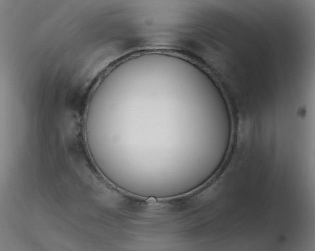X0000116461449200912231351