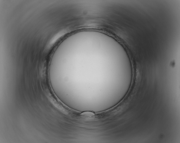 X0000116461450200912231351