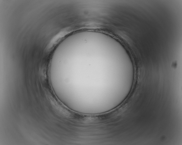 X0000116461451200912231351