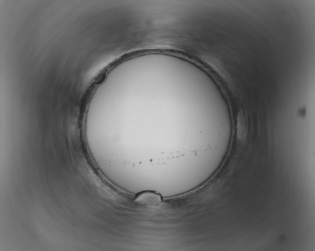X0000116461452200912231351