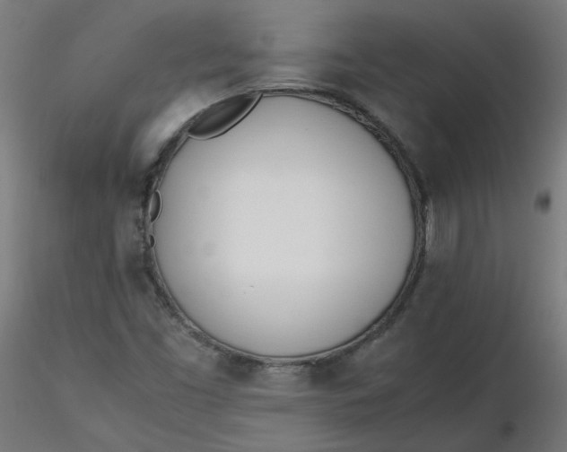 X0000116461453200912231351