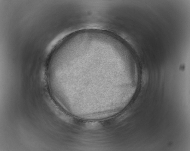 X0000116461454200912231351