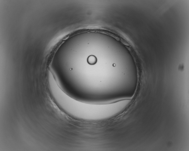 X0000116461456200912231351