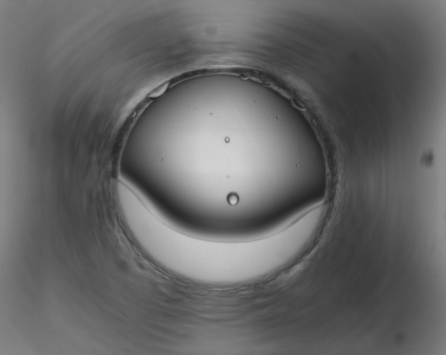 X0000116461457200912231351