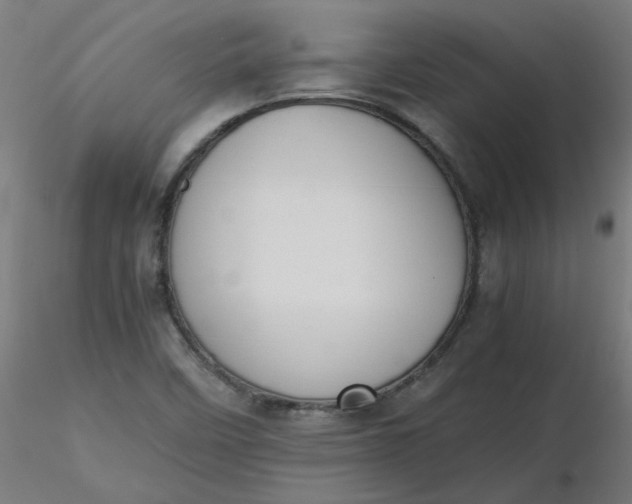 X0000116461458200912231351