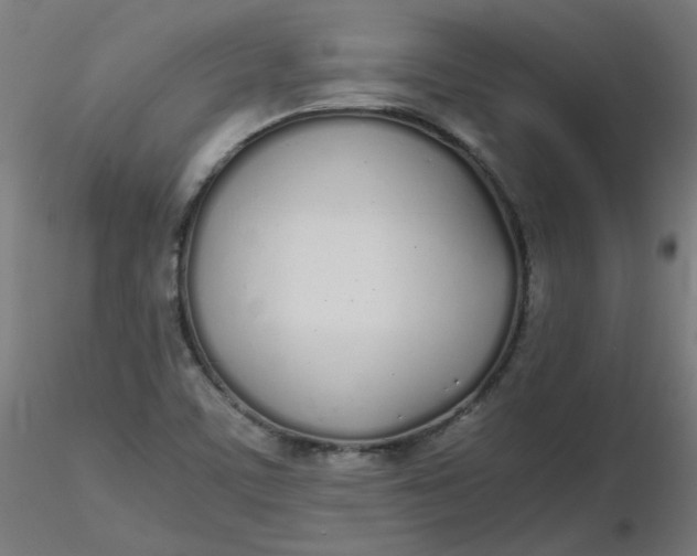 X0000116461459200912231351