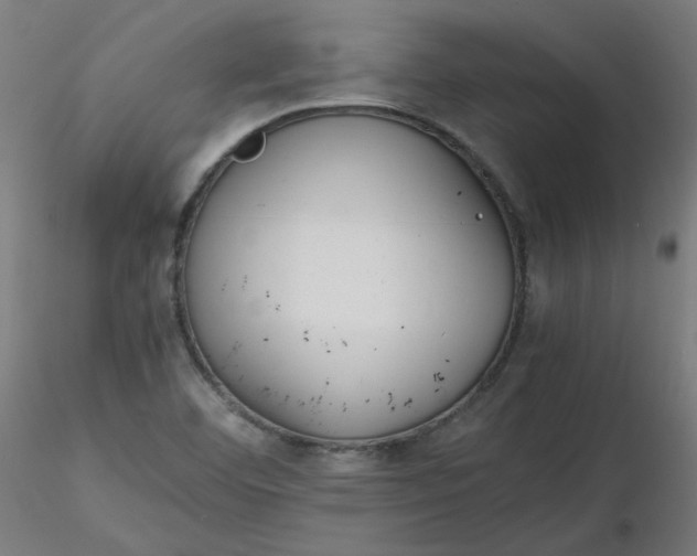 X0000116461460200912231351