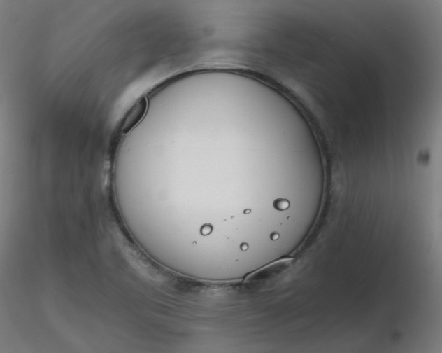 X0000116461461200912231351