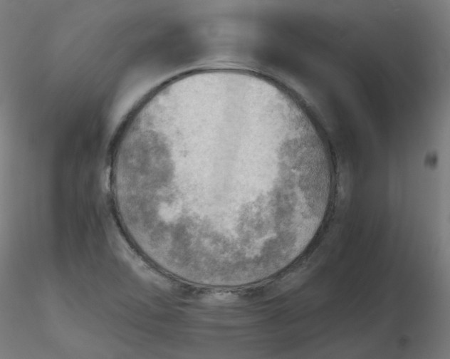 X0000116461462200912231351