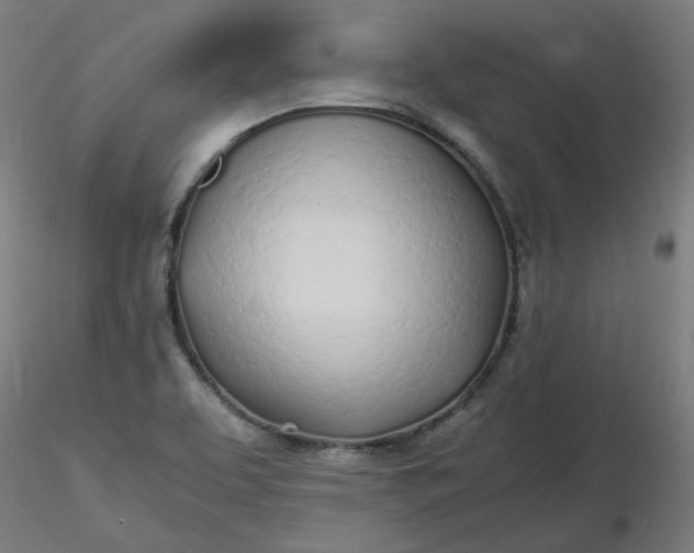 X0000116461463200912231351