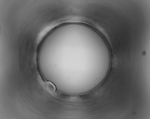 X0000116461464200912231351