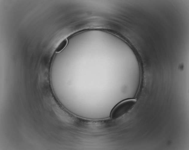 X0000116461465200912231351