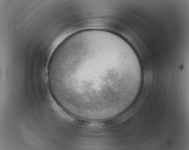 X0000116461466200912231351