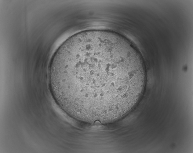 X0000116461467200912231351