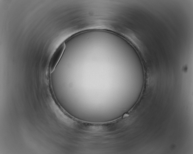 X0000116461468200912231351