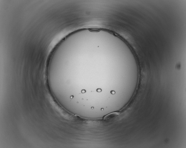 X0000116461469200912231350