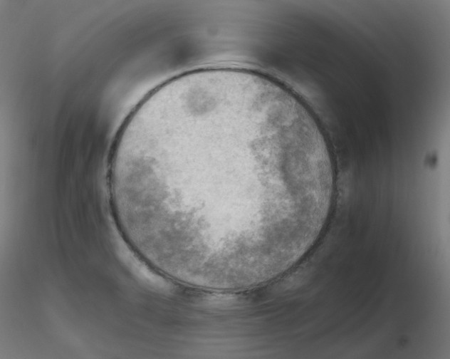 X0000116461470200912231350