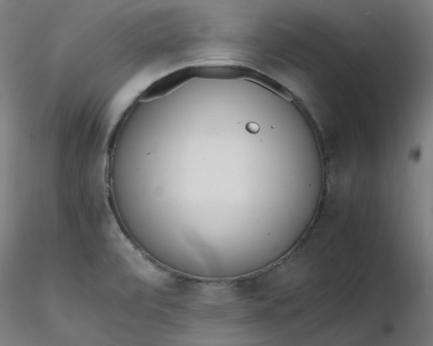 X0000116461472200912231350