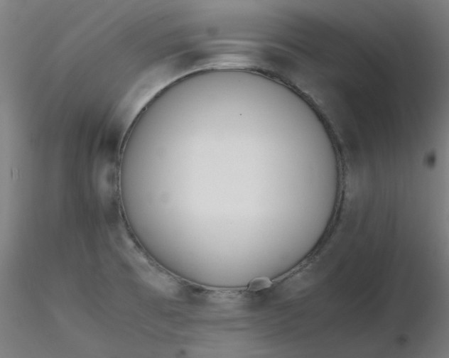 X0000116461473200912231350